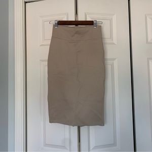 Labijou Pencil Skirt